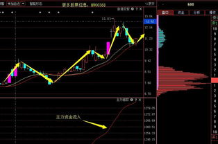 潛力牛股分析 603009 - 上海自貿區低價小市值軟件股投資價值解析